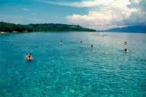 Underwater Paradise at Menjangan Island Bali