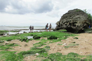 landscape padang padang beach bali